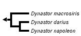 taxon links