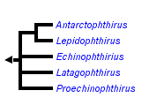 taxon links