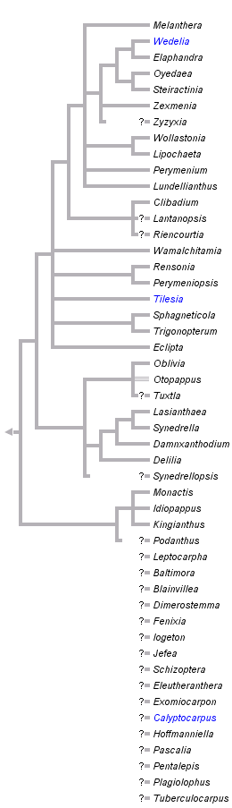 taxon links