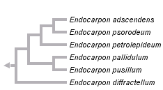 taxon links