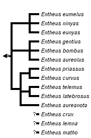 taxon links