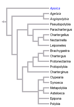 taxon links