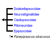 taxon links