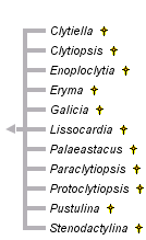 taxon links