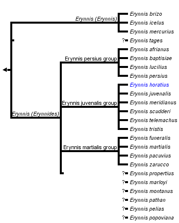 taxon links