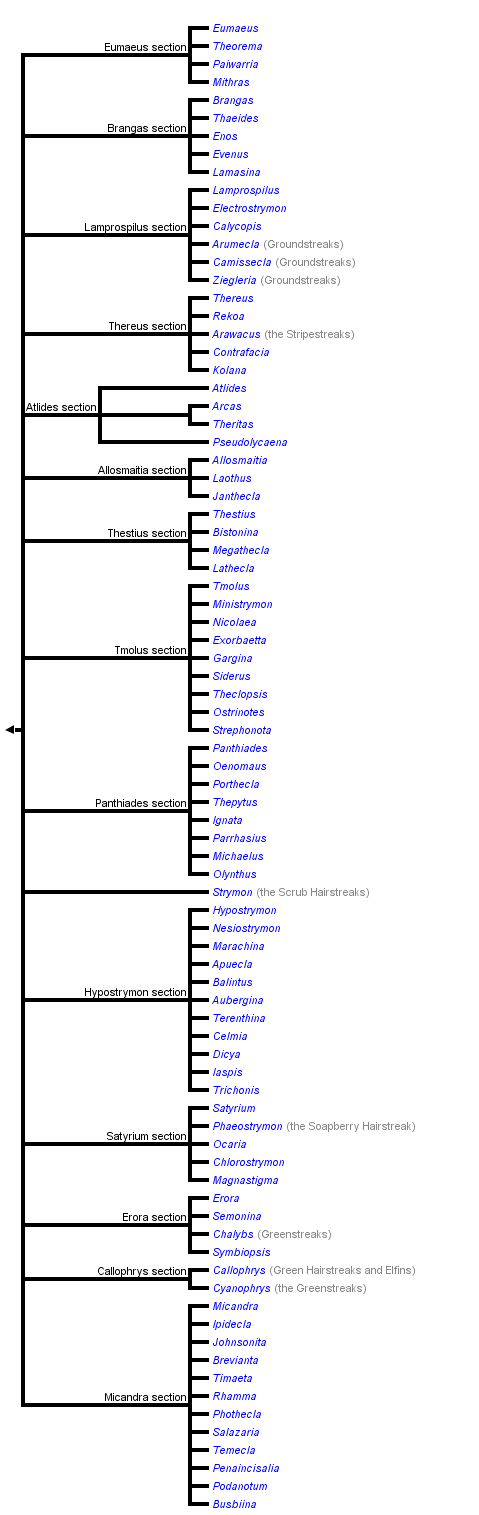 taxon links