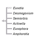 taxon links