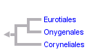 taxon links