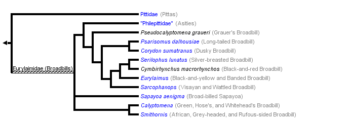 taxon links