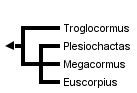 taxon links