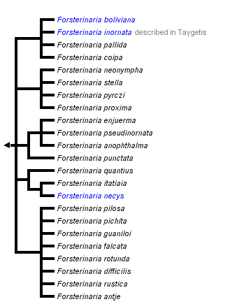 taxon links