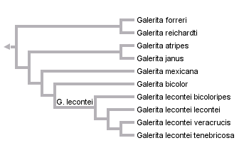 taxon links