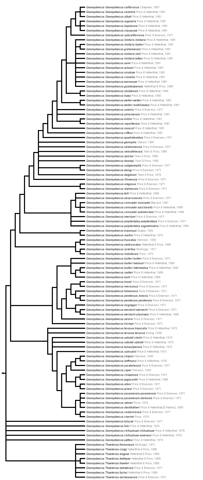 taxon links