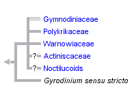 taxon links