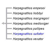 taxon links