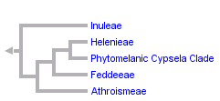 taxon links