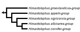 taxon links