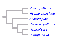 taxon links