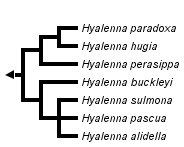 taxon links