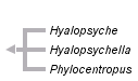 taxon links