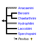 taxon links