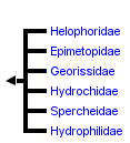 taxon links