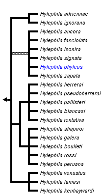 taxon links