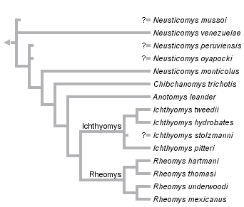 taxon links