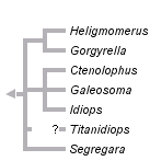 taxon links