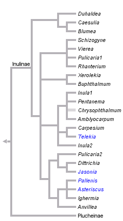 taxon links