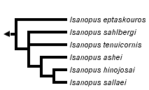 taxon links