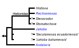 taxon links