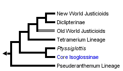 taxon links