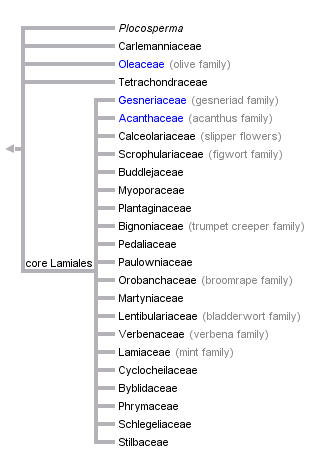 taxon links