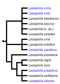 taxon links