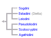 taxon links