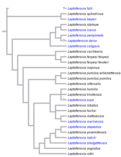 taxon links