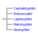 taxon links