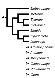 taxon links