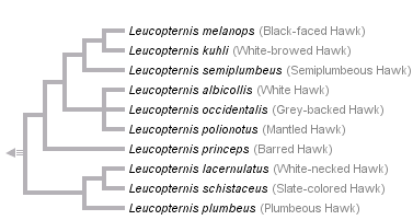 taxon links