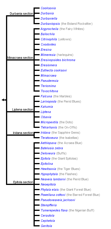 taxon links