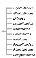 taxon links