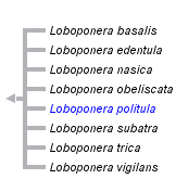 taxon links