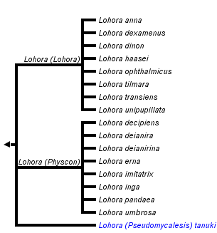 taxon links