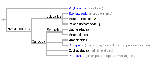 taxon links