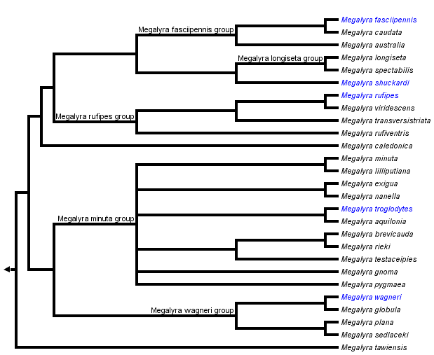 taxon links