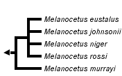 taxon links