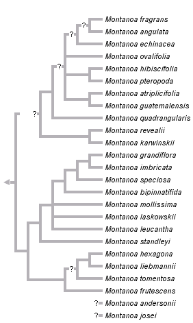 taxon links