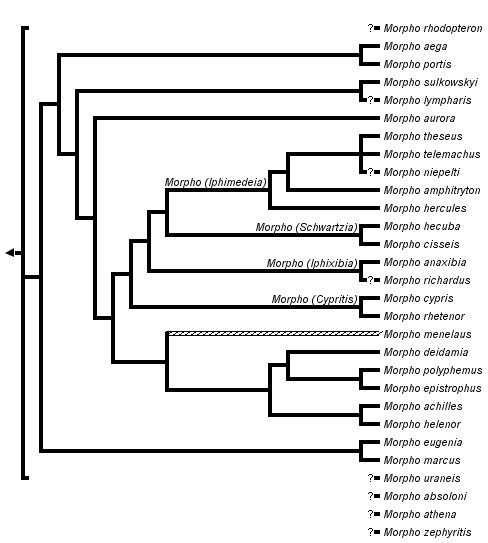 taxon links