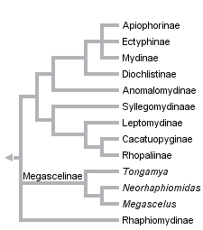 taxon links